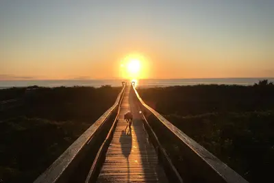 Image de Ocean Retreat Beach Front Home - Great Beach-Pet Friendly