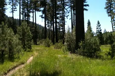 Image de \"Let Your Den Soyez la forêt». Grand One Bedroom Condo adjacente à la National