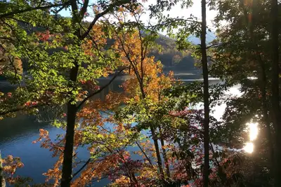 Image de Chalet rustique des Appalaches: quai privé \/ au bord du lac \/ intimité sur le lac Nantahala!