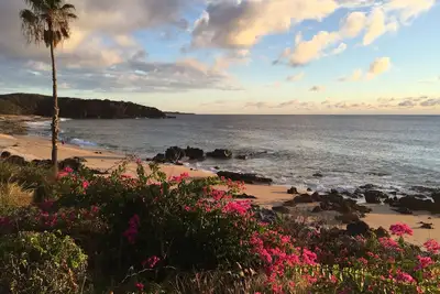 Image de Vue sur la mer entièrement équipée Location condo \/ voiture pour prix supplémentaire