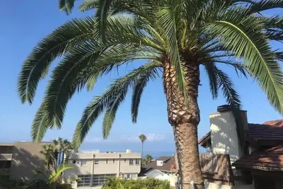 Image de Emplacement fantastique du village. 300 marches à la plage. Le meilleur espace extérieur que vous pouvez trouver!