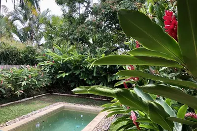 Image de Palm Cove Beachhouse
