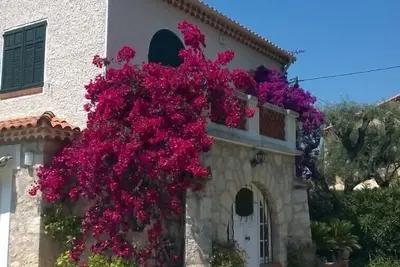 Image de Cap d'Antibes, Villa art déco dans parc privé, accès à la plage à 10 mn à pied.