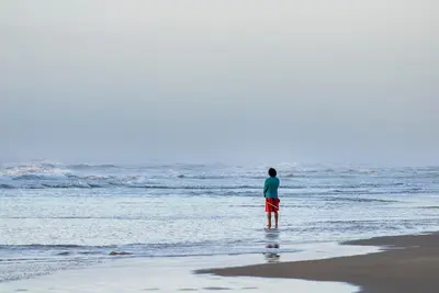 Image de El Cuyo: l'unique plage de palmiers du Yucatan