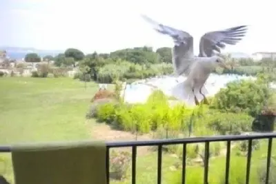 Image de Appartement 7p Golfe de St Tropez