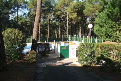 Image de maison dans la pinède, près de l'océan