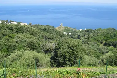 Image de Location Saisonniere d'appartement à Pino Cap Corse 2\/3 personnes