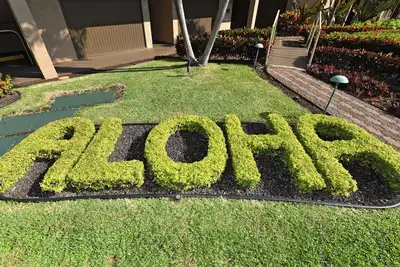 Image de ** Maui Budget Condo avec Luxury Oceanfront at Papakea