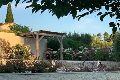 Image de Belle villa récente avec jardin et piscine entre vignes et garrigue