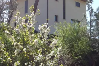 Image de Magnifique Villa, jacuzzi et piscine privés, classée 5*