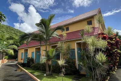 Image de Spacieux T3 avec vue mer -jardin tropical et piscine au sel à 100 m de la plage
