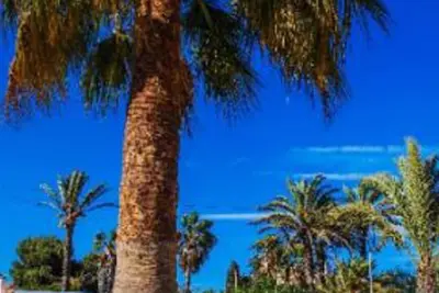 Image de Cottage à La Manga idéal pour les familles, les animaux