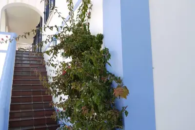 Maison / villa - São Martinho do Porto