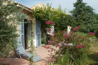 Image de Au calme au milieu des oliviers
