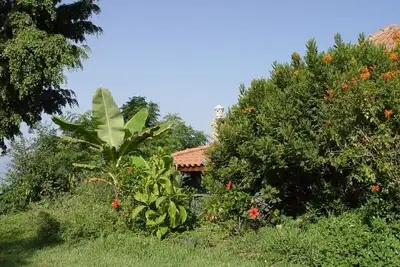 Image de Apartment in country house with tropical garden and pool 2 bedrooms