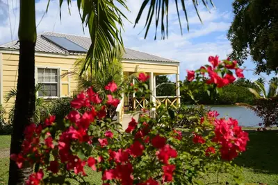 Image de Caribbean-Style High Tech Cottages with European-chic interior