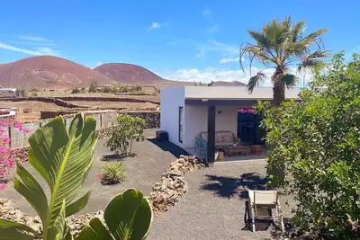 Image de Maison moderne avec jardin tropical