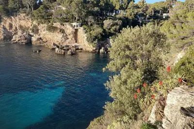 Image de Superbe appartement au calme dans un écrin de verdure proche plage de sable