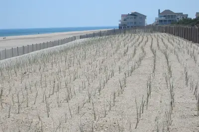 Image de Dewey Beach, De Ocean Beach Condo bloc-location Ă pied de la plage, la baie, les restaurants et plus