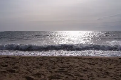 Image de Juste les pieds sur la plage pour la famille! Au centre de Oob près de tout!