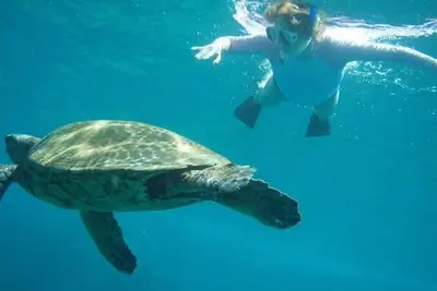 Image de Perfect Maui Beach Home: Penthouse, Great Views, à partir de 195 $