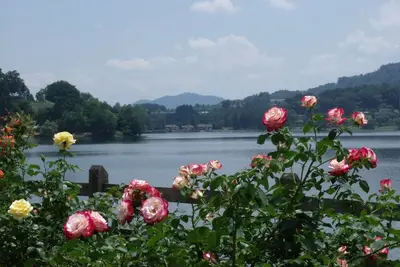 Image de Lake Junaluska, belle montagne, lac et terrains de vues de cours