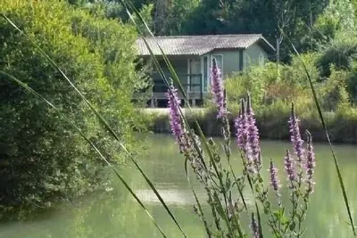 Image de Location Chalet - Chef Boutonne - Poitou Charentes