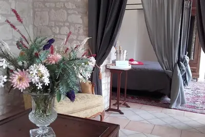 Image de Gïte/B&B, château du 17ème siècle, 3, 5 hectares avec piscine, Vallée de la Loire