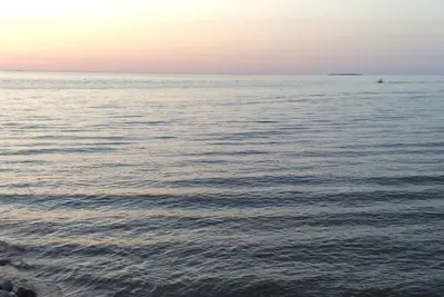 Image de Beach View Retreat: Idéal pour les ornithologues amateurs, vacances en famille, Davis B