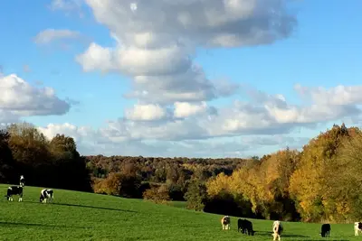 Image de Un refuge romantique avec spa nordique pour se ressoursser au coeur du Calvados