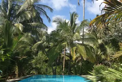 Image de Position paisible avec une piscine d'eau douce de 13 mètres