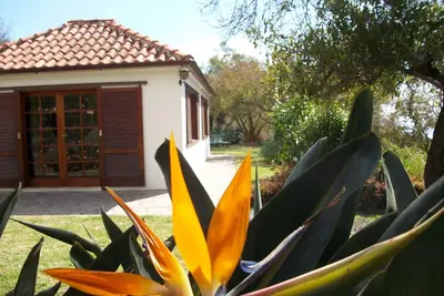 Image de Maison individuelle avec grand jardin et vue sur la mer, Los Llanos à distance de marche