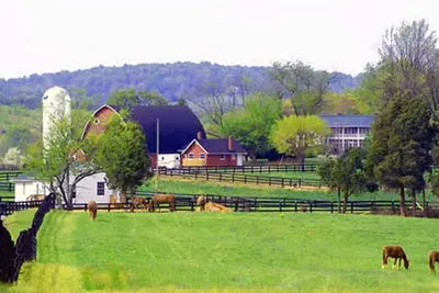 Image de 7 maisons, une ferme de 600 acres = parfait pour le mariage / réunion / grande réunion de famille