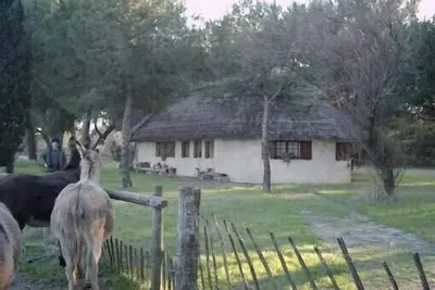 Image de Location maison type cabane de Gardian Aigues Mortes
