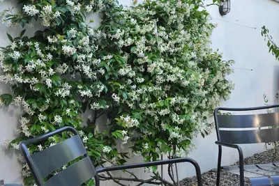 Navigli Loft avec jardin privé