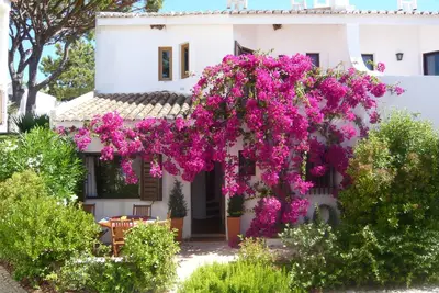 Image de Super Villa, 3 qts, une minute à pied de la plage de ValedoLobo. Wifi gratuit. Excellent emplacement