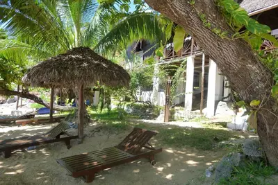 Image de Le bonheur sous les cocotiers