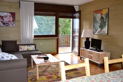 Image de Appartement neuf de trois pièces à deux pas des pistes (vous pouvez vous y rendre à pied! )