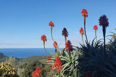 Image de Appartement dans une ambiance rustique avec vue sur la mer