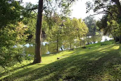 Image de Sur la rivière Guadalupe