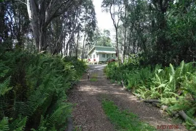 Image de Paisible escapade privée dans la forêt