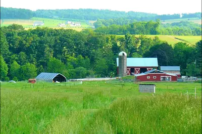 Image de 112-Acre Sheep Farm Guesthouse: Animaux, Nature, Paysage