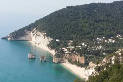 Image de Casa Olivo détendre dans le vert près de la mer