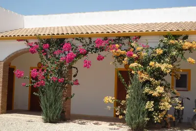 Image de gite finca las gateras