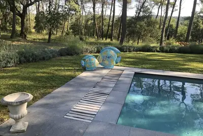Image de Double Provencal farmhouse recently renovated