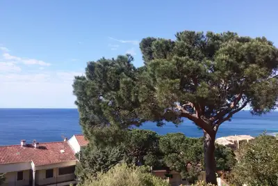 Image de Spacieux F1 route des Iles Sanguinaires grande terrasse vue mer proche plages