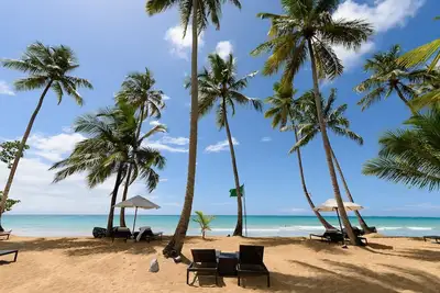 Image de Trouver Bliss dans un appartement de plage de luxe avec services hôteliers
