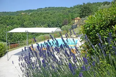 Image de Villa de campagne toscane exclusive, piscine privée, près de Florence et Pise, dort max 15