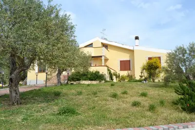 Image de Villaial, récente, avec piscine, entourée de verdure au milieu des oliviers