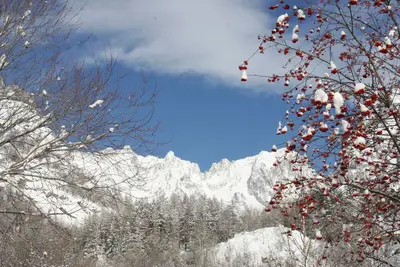 Image de Courmayeur Mont Blanc - Grand appartement de trois pièces pour familles avec enfants